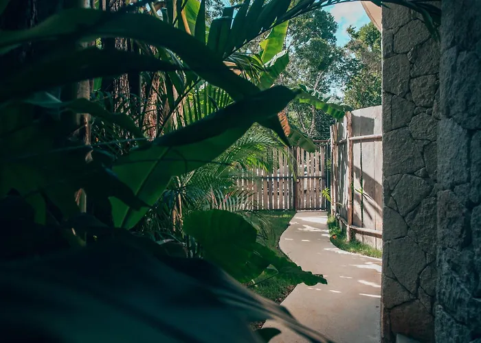Pousada Jungle Rooftop -priv Pool-bathtub-jacuzzi 2a *